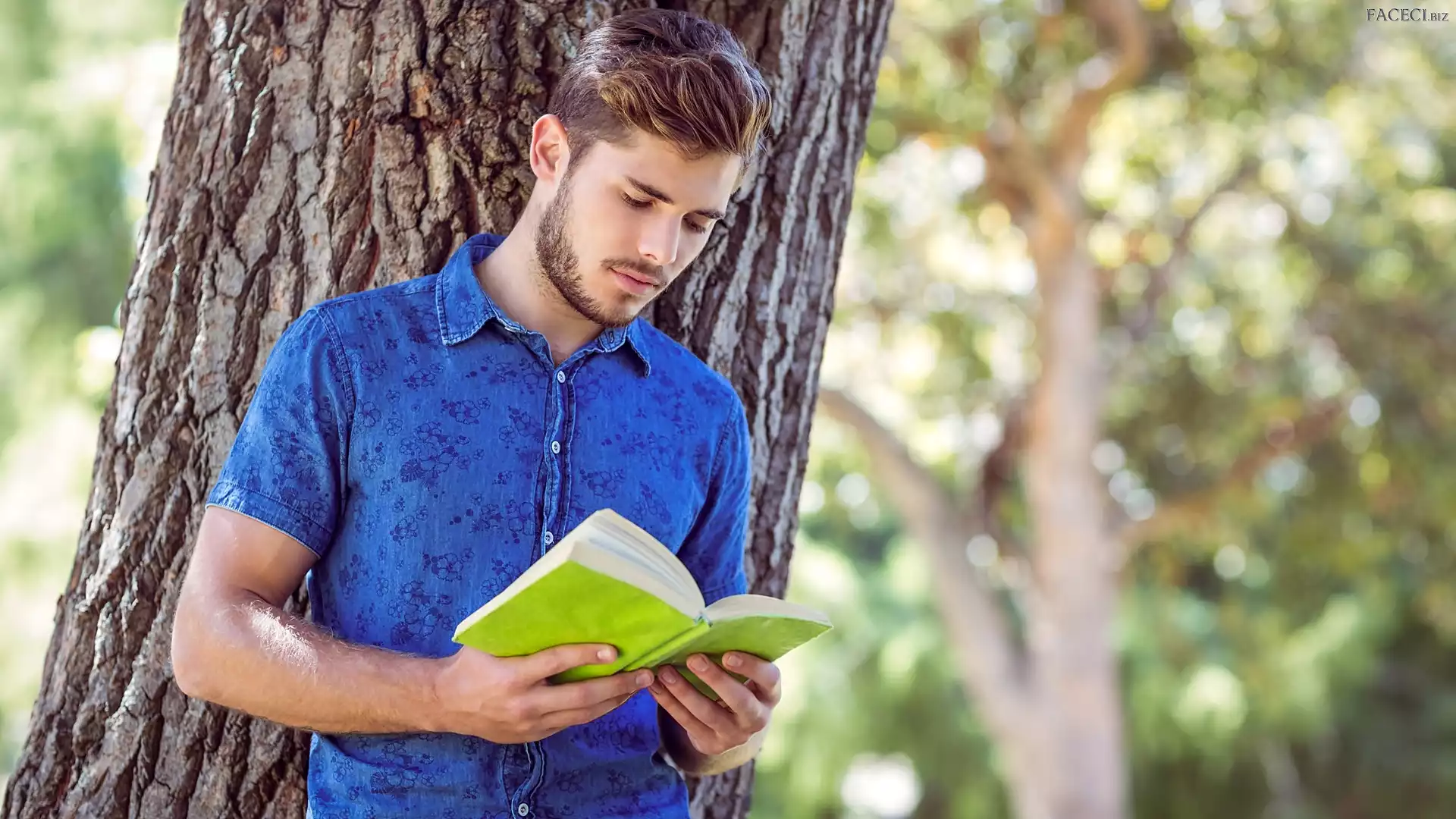 Drzewo, Koszula, Książka, Mężczyzna, Niebieska