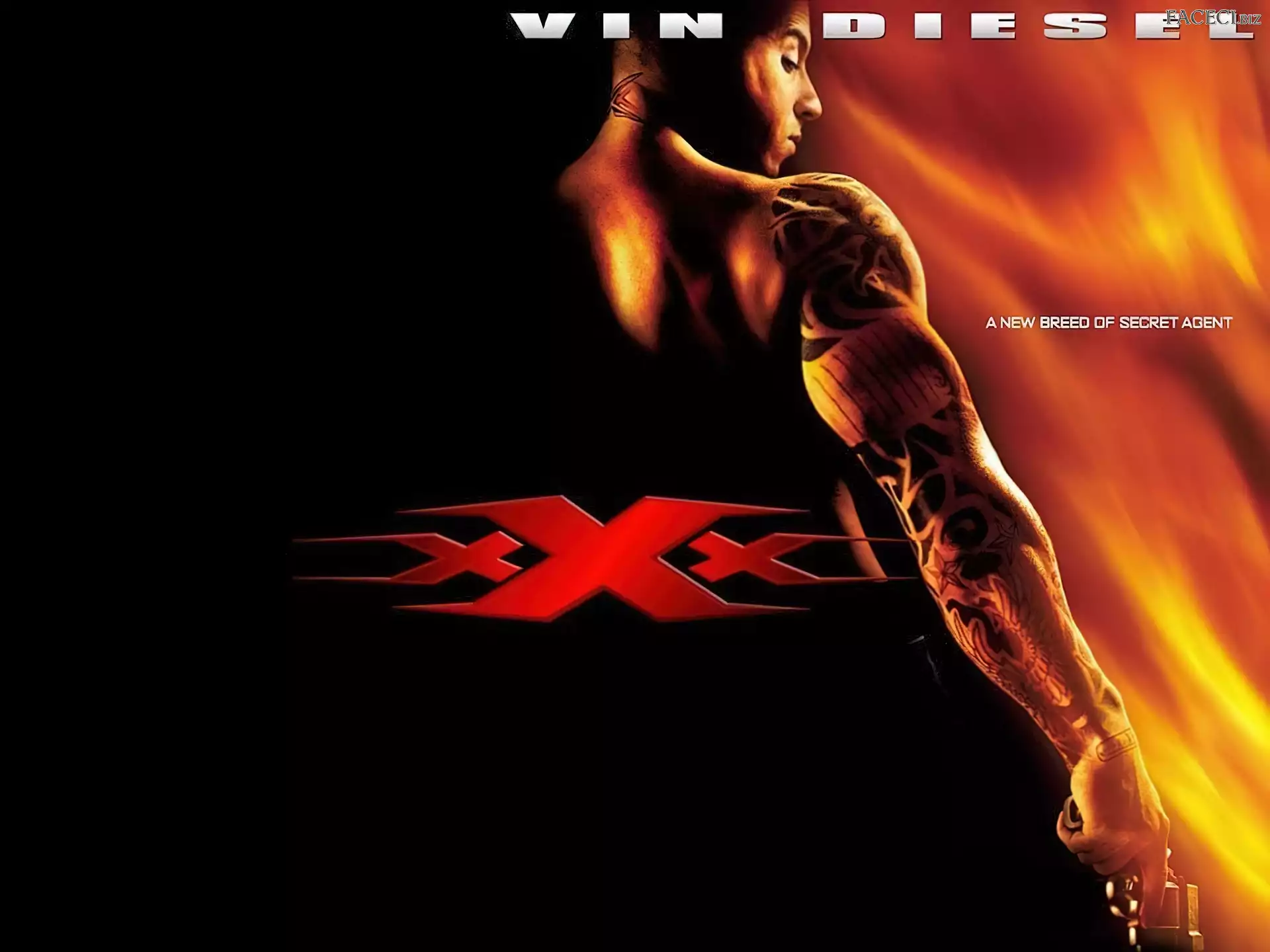 pistolet, Vin Diesel, tatuaże